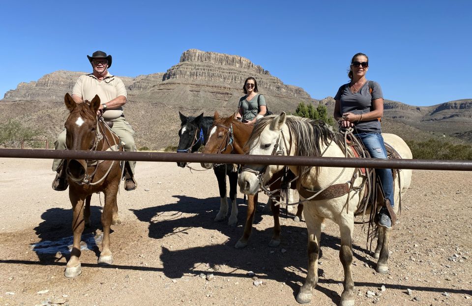 Horseback Ride Thru Joshua Tree Forest With Buffalo & Lunch