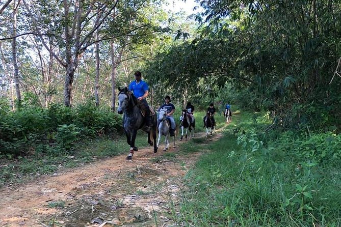 Horseback Riding 1 Hour Trail