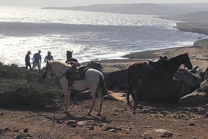 Horseback Riding 2 Hour SUNSET , Rock Formation / Countryside and Beach Ride