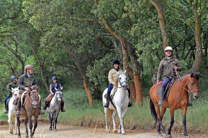 Horseback Riding, 4 Options-Mountain, Lesson Ring, Beach (2Hours)