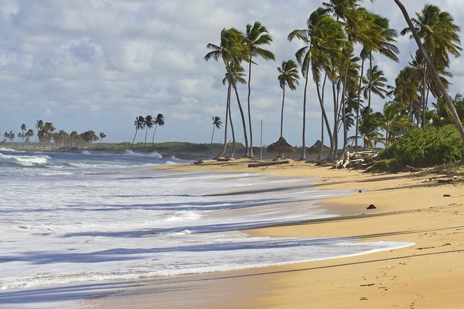 Horseback Riding Adventure Punta Cana