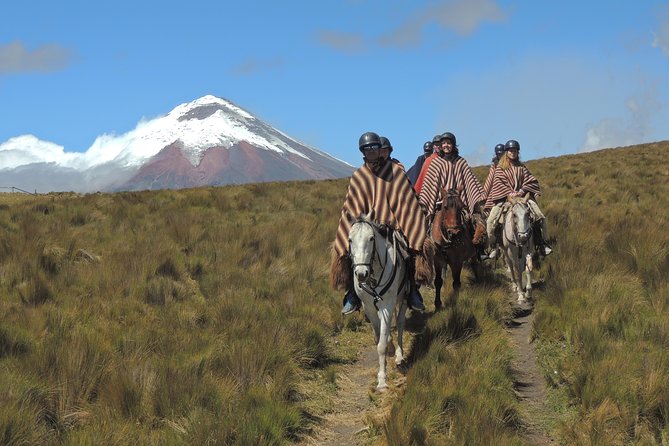 Horseback Riding and Cotopaxi National Park Day Trip