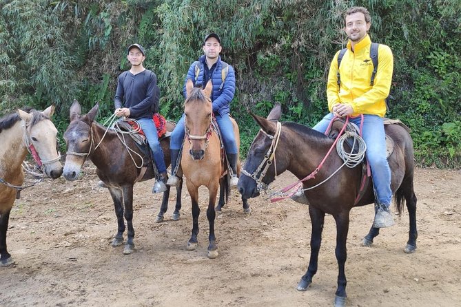 Horseback Riding From Guadalupe to Monserrate Private Day-Tour