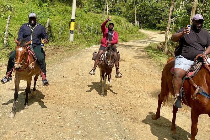 Horseback Riding in Medellin at Best Price