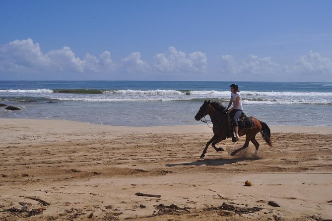 Horseback Riding Tour Adventure on the Beach