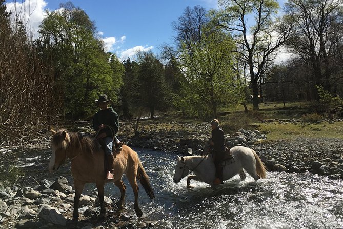 Horseback Trailride Excursion