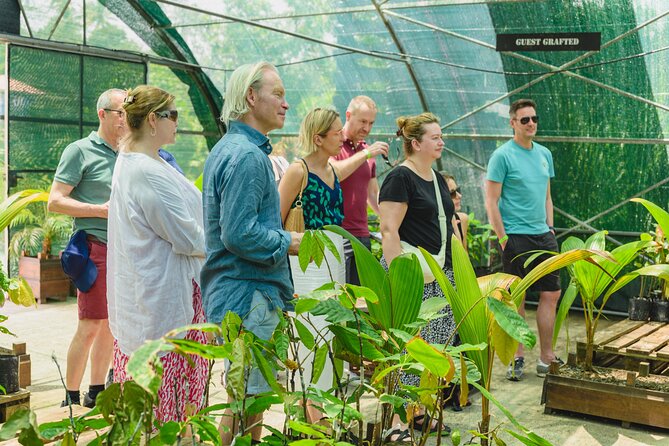 Hotel Chocolat: From Tree to Bar Tour With Tasting in St. Lucia - Chocolate Making