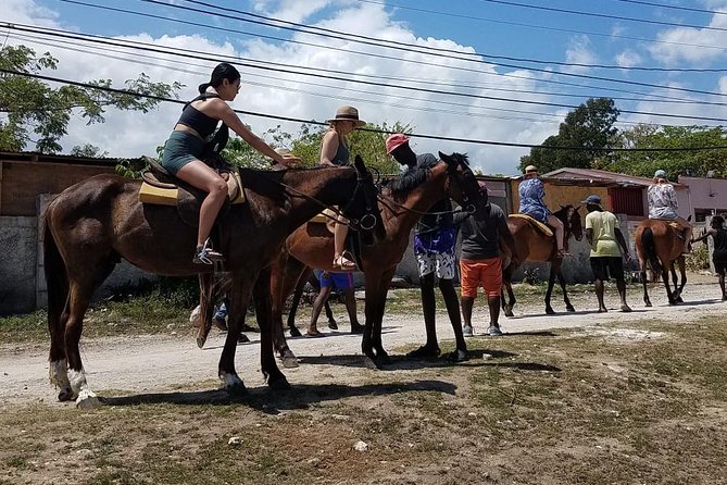 Hour Horseback Riding Guided Tour From Runaway Bay - Included Services and Amenities
