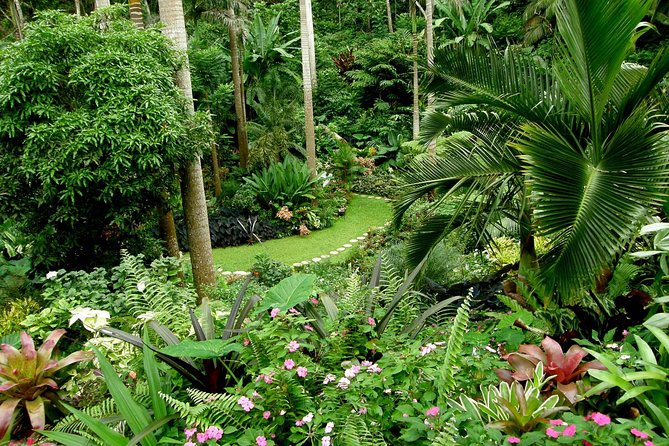 Huntes Garden and St Nicholas Abbey Small Group or Private Barbados Tour