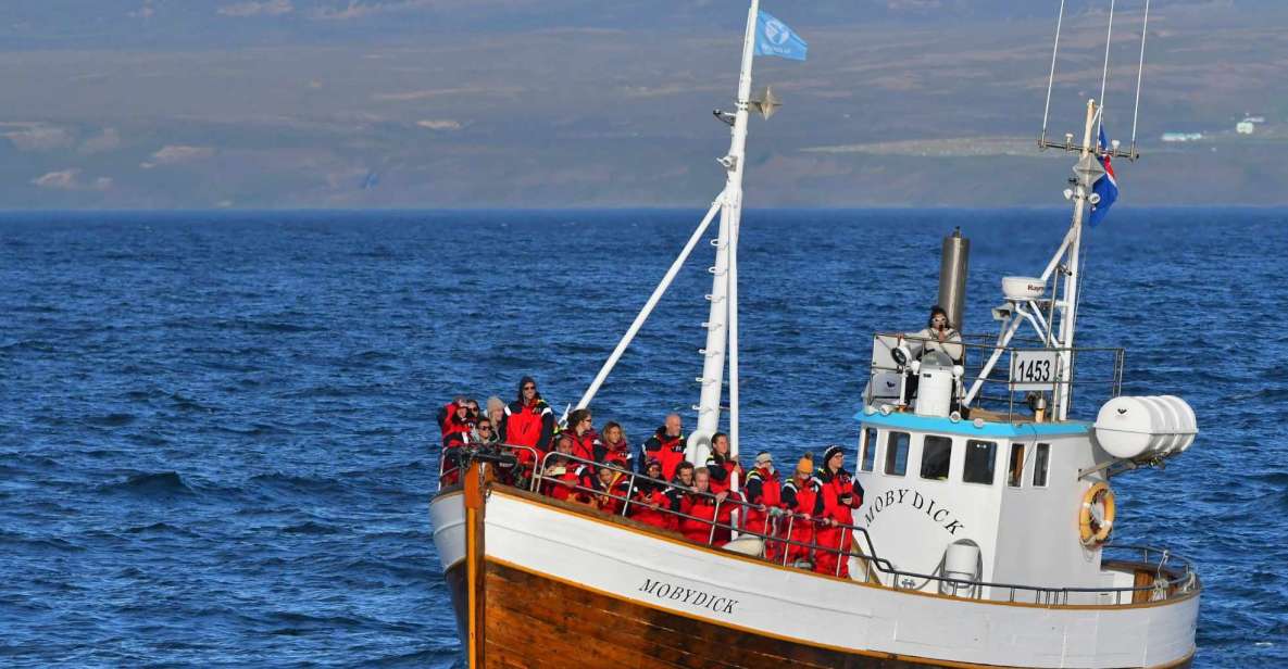 Húsavík: Family-Run and Guided Whale Watching Tour