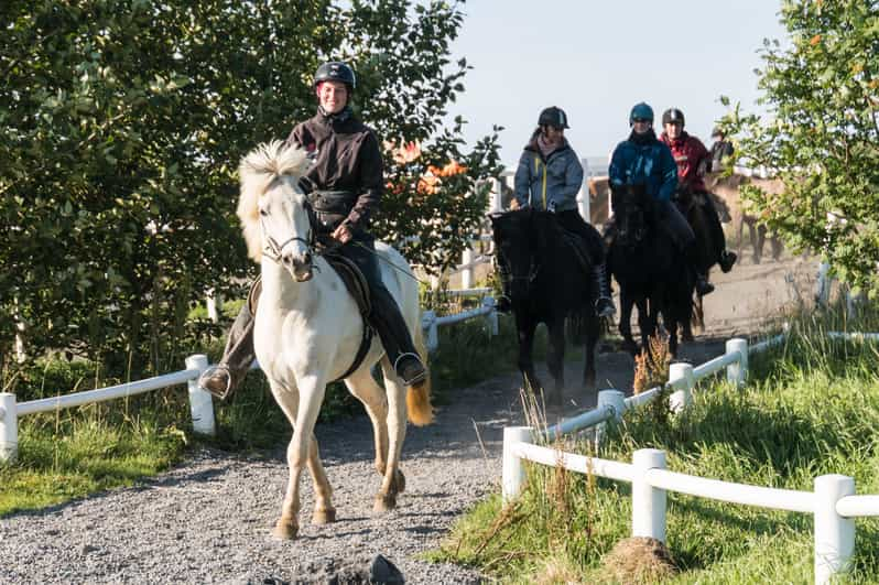 Hveragerdi: The Siggi Horse Riding Tour