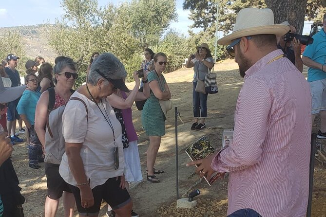 I Tour With the Archaeologist: Group Visit at Sunset to the Valley of the Temples - Meeting Point Details