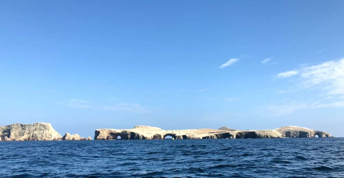 Ica: Ballestas Island & Paracas Reserve Private Tour - Tour Overview