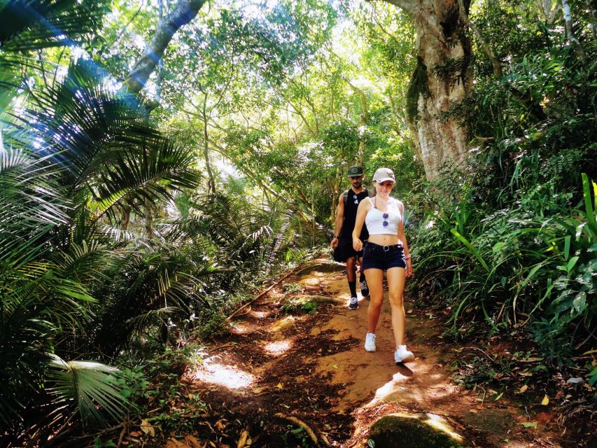 Ilha Grande: Lopes Mendes Private Hiking Tour