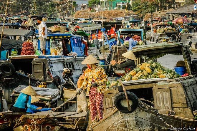 Incredible Mekong Delta Tour 3-Day From Ho Chi Minh City