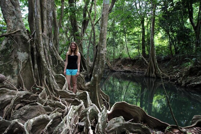 Indian River, Cold Soufriere & Fort Shirley (Northern Excursion)