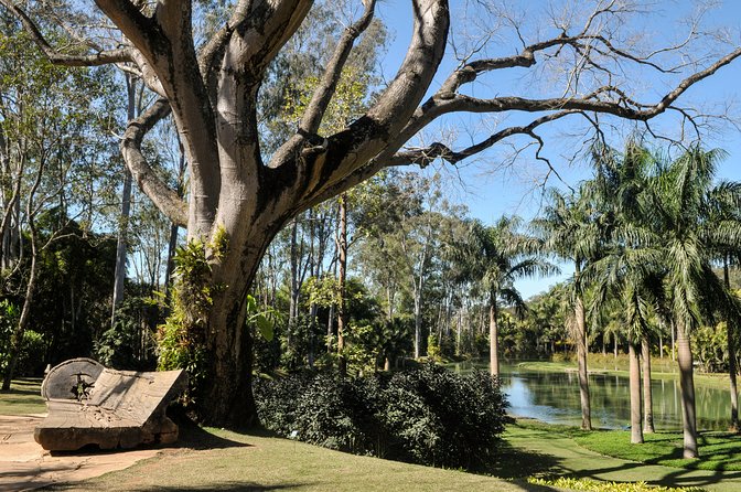 Inhotim – One of the Largest Open Air Museums in the World