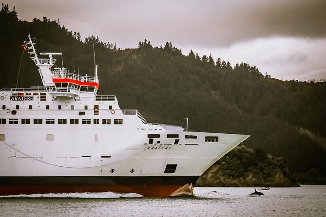 InterIslander Ferry - Picton to Wellington - Overview of the Service