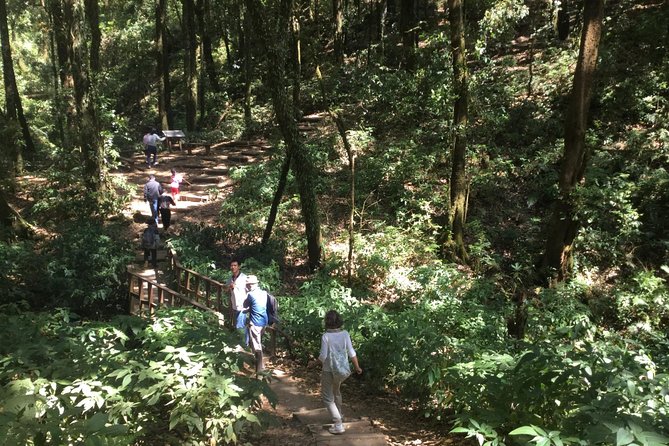 Inthanon Small-Group With Kew Mae Pan Trail From Chiang Mai Include Lunch