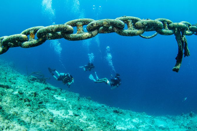 Introduction Shore Dive With Scubaçao (1 Dive)