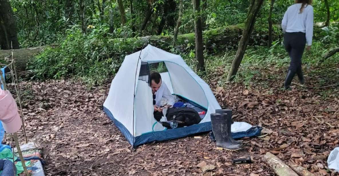 Iquitos: Private Tour of the Pacaya Samiria National Reserve