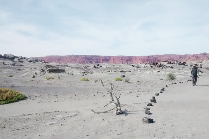 Ischigualasto National Park – Moon Valley