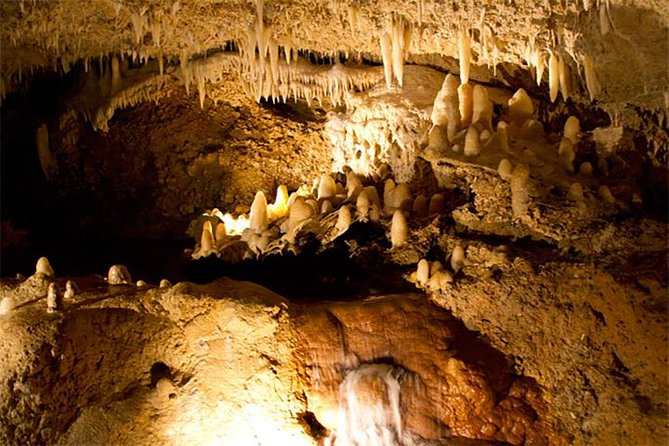 Island Adventure Harrisons Cave & Monkey Feeding Group Tour or Private Tour