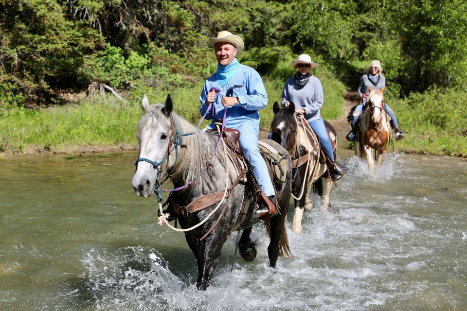 Jackson Signature 1/2 Day Ride Horseback Tour With Lunch - Tour Overview