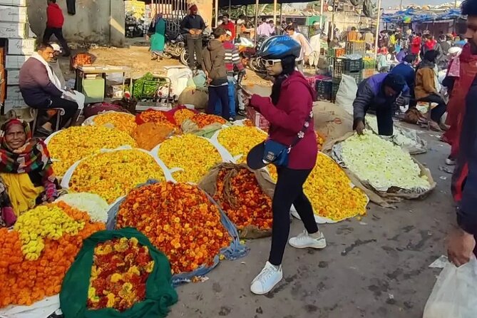 Jaipur Cultural Cycling Tour - Tour Overview