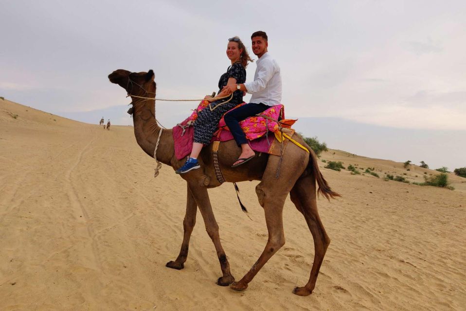 Jaisalmer: 2 Days Adventure in the Thar Desert - Tour Overview and Pricing