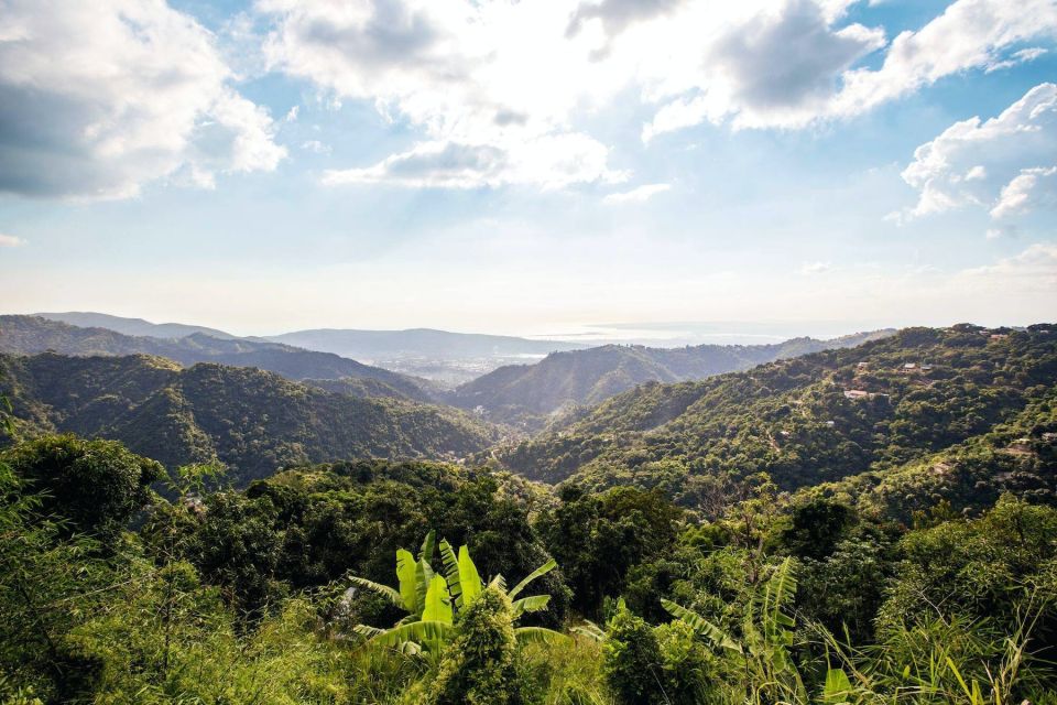 Jamaica: Blue Mountains Full Day Tour With Brunch & Lunch