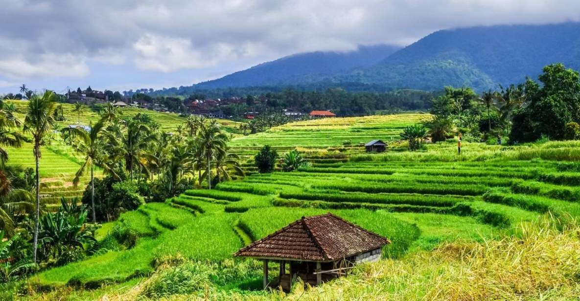 Jatiluwihs Rice Field Terraces: A Scenic Self-Guided Audio