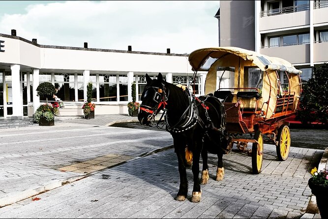 Jaunting Car Tour in Killarney National Park