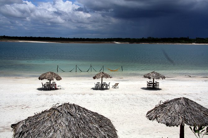 Jericoacoara Tour in 1 Day