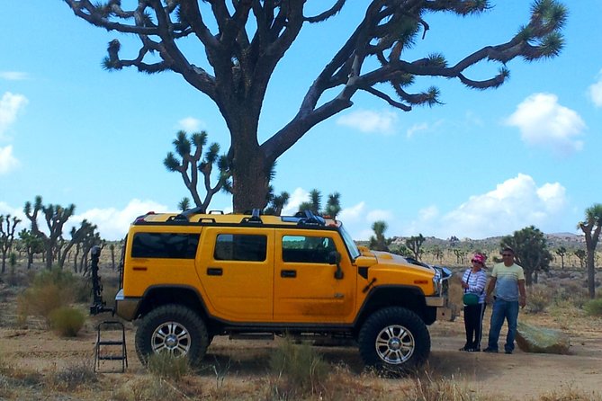 Joshua Tree National Park Air-Conditioned Tour