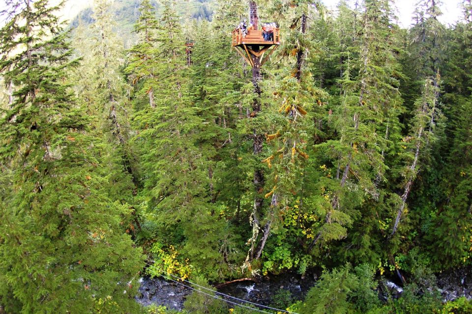 Juneau: Alpine Zipline Adventure