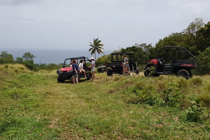 Jungle Bikes Dune Buggy & Beach Tours in St Kitts