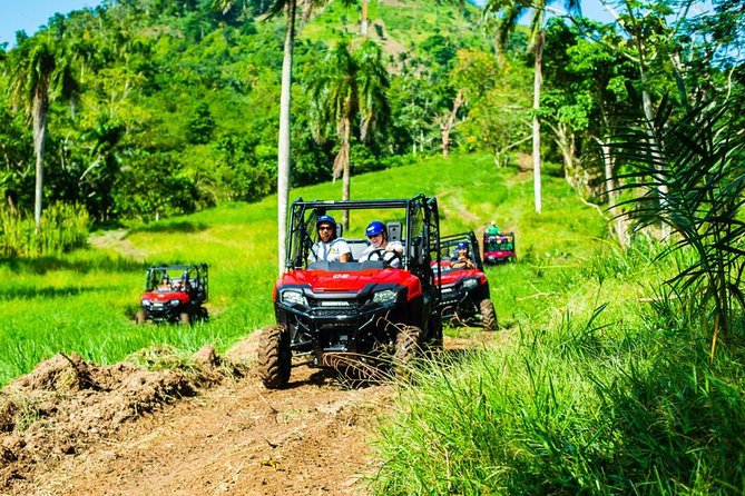 Jungle Buggies and Monkeyland From Punta Cana