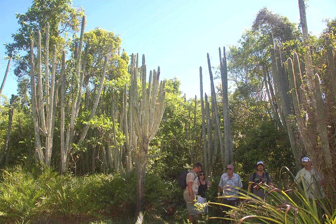 Jungle Eco Tour in Bayahibe