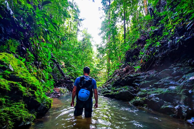 Jungle Hike With Canyoning and Rappelling in Drake Bay - Itinerary Overview