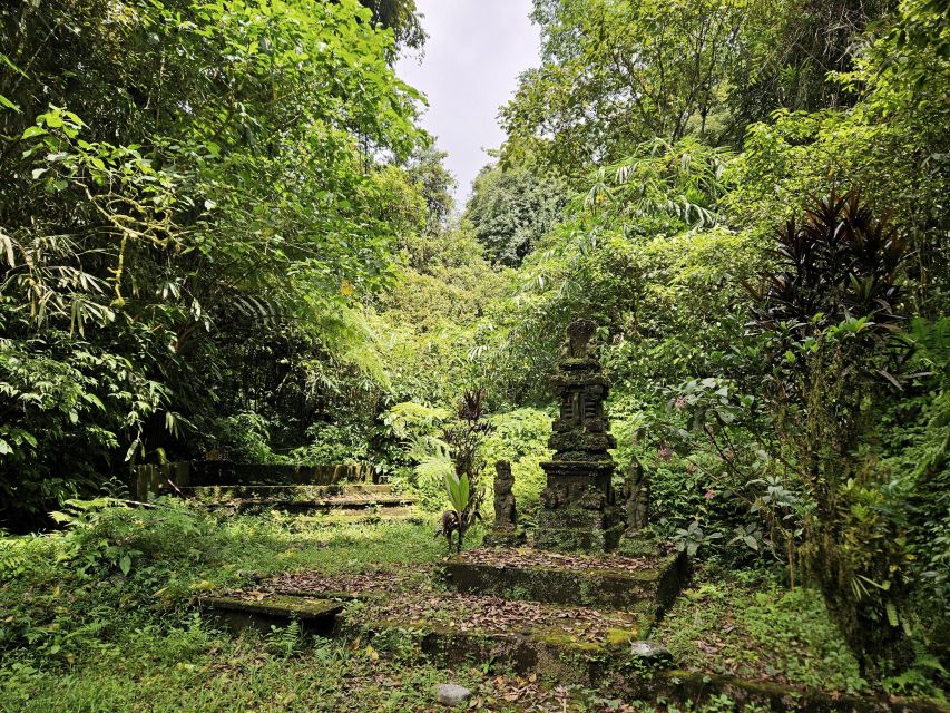 Jungle Trekking at Mt. Batukaru, Scenic Waterfall & Village