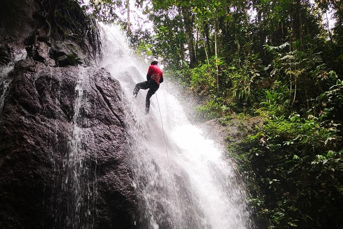 Jungle Trekking + Waterfall Abseiling