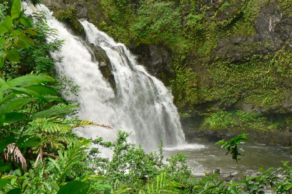 Kahului: Guided Rainforest and Waterfall Walk - Tour Overview