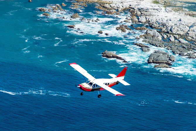 Kaikoura: Coastal and Alpine Scenic Airplane Flight