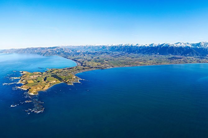 Kaikoura Helicopters Classic Whale Watch