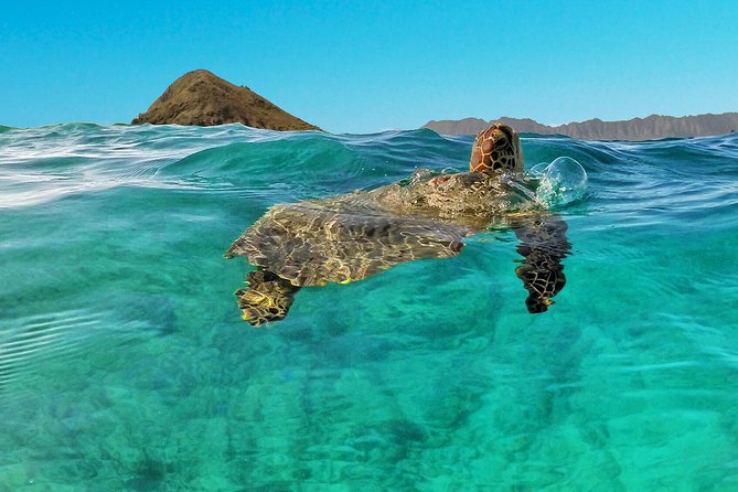 Kailua 2-Hour Guided Kayaking Excursion, Oahu