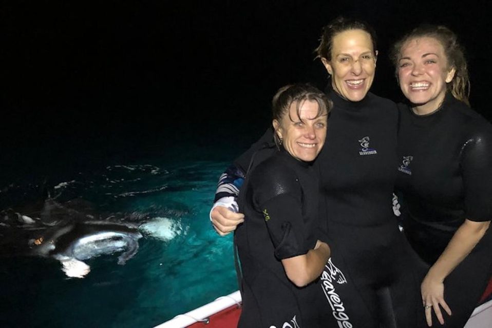 Kailua-Kona: Manta Ray Night Snorkel With Wetsuit - Overview of the Tour