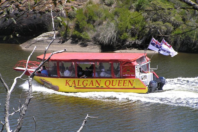 Kalgan Queen Scenic Cruises a Four Hour Sheltered Water Wildlife Tour Daily Fun.