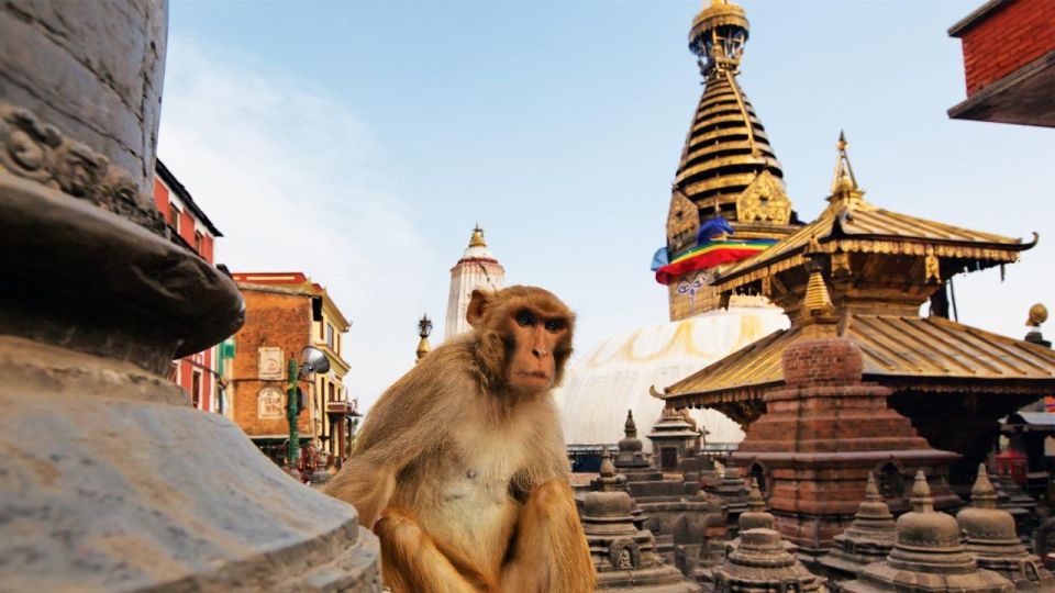 Kathmandu: Chandragiri Cable Car and Monkey Temple Tour