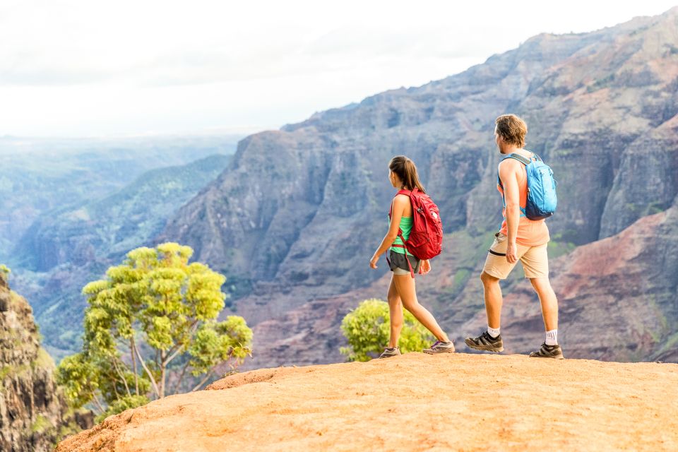 Kauai: Full-Day Waimea Canyon & Wailua River Tour - Tour Details